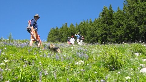 Surrounded by flowers