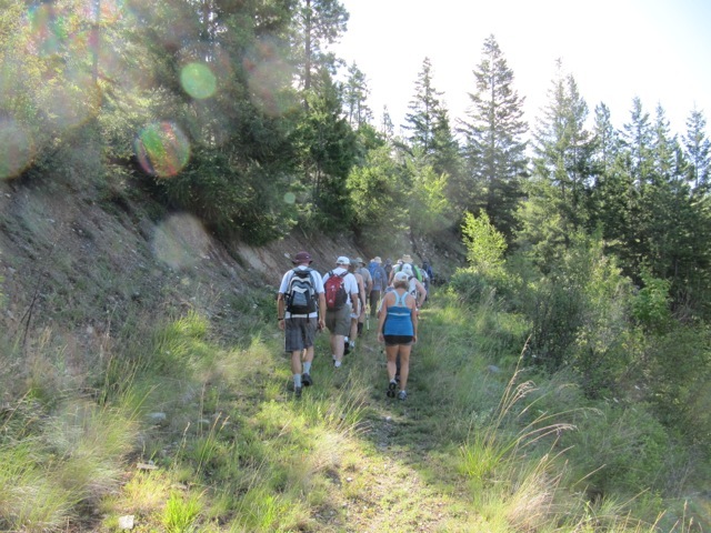 Switchback trail