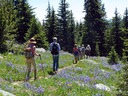 Through flowery meadows