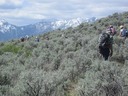 Through the sagebrush