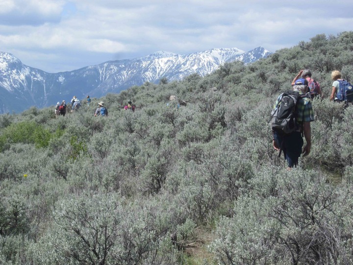 Through the sagebrush