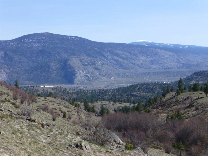 Towards Mt Baldy
