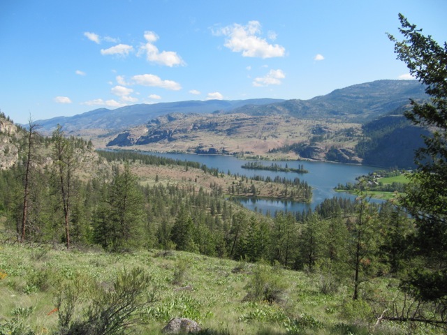 Vasseux view