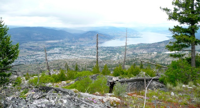View from Charcoal Mountain