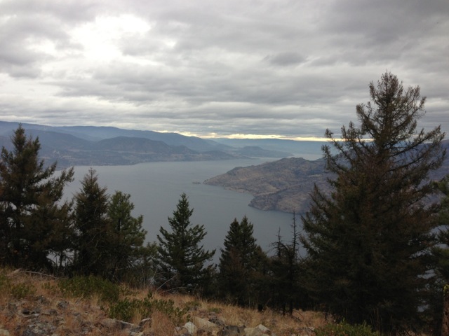 View north along OK Lake