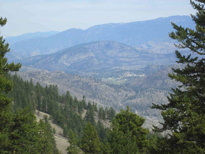 View of Mt Keogan