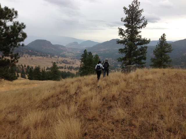 View south to Summerland
