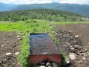 Watering hole
