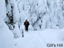 Winter wonderland